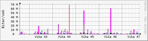 Sustu vikur Graph