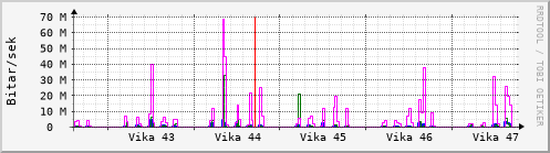 Sustu vikur Graph