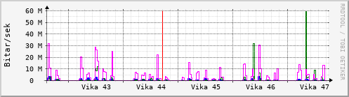 Sustu vikur Graph