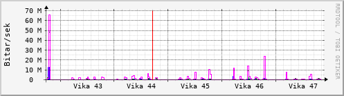 Sustu vikur Graph