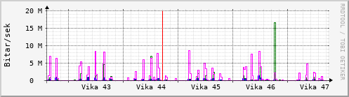 Sustu vikur Graph